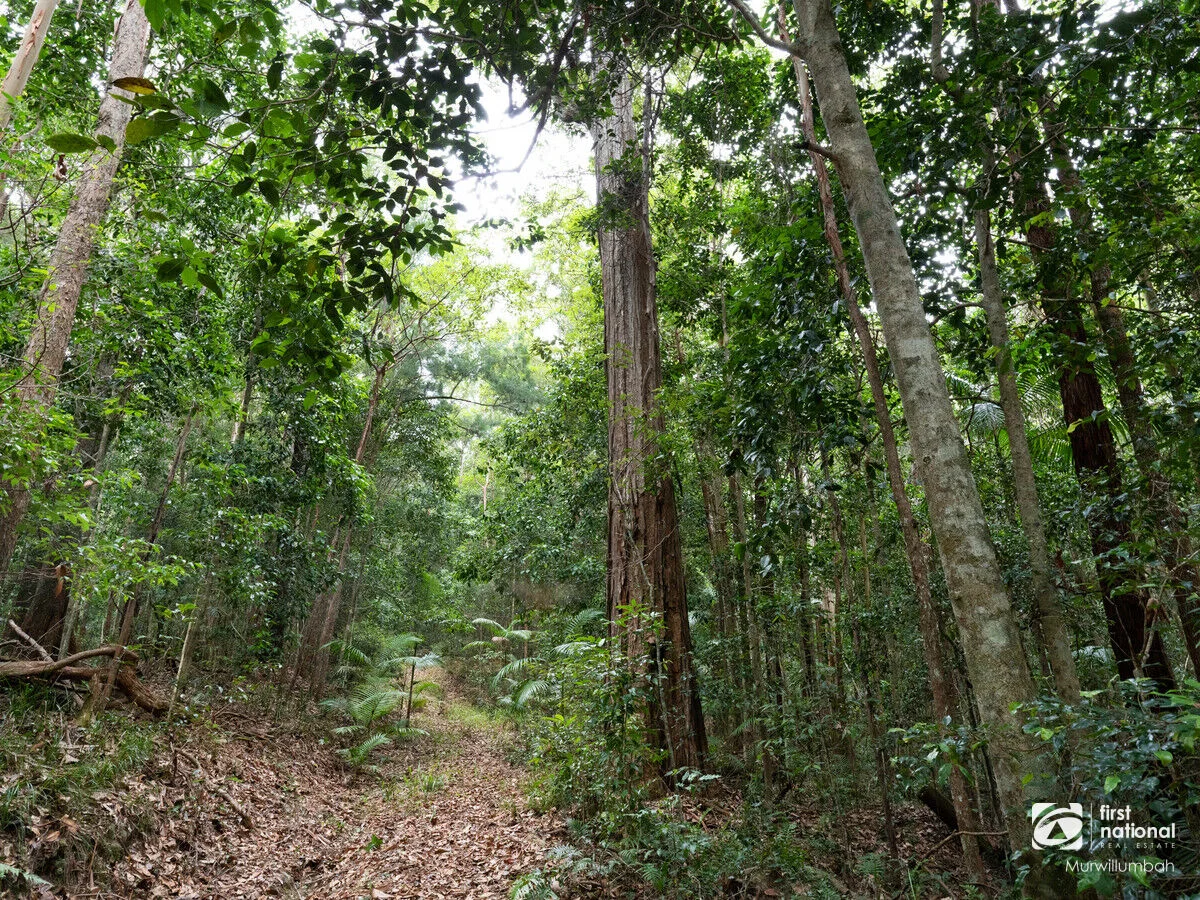 Additional image 34 of 563 Commissioners Creek Road, Commissioners Creek NSW 2484