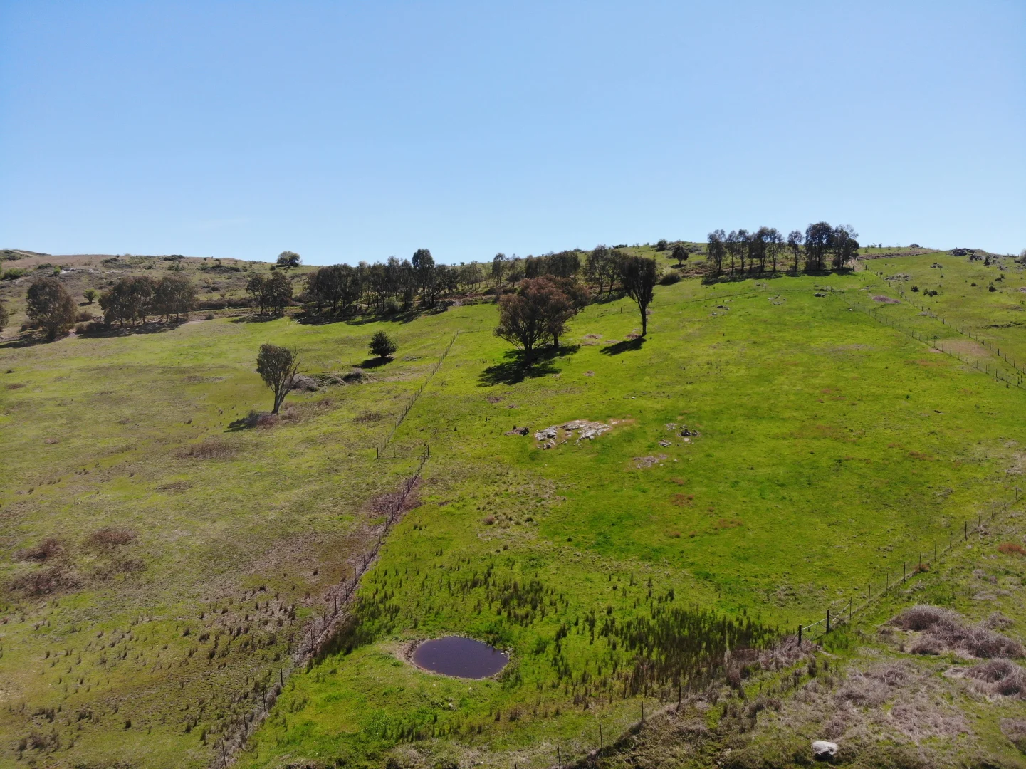 Additional image 6 of Lot 852 & 545/757211 Golden Gully Road, Adelong NSW 2729