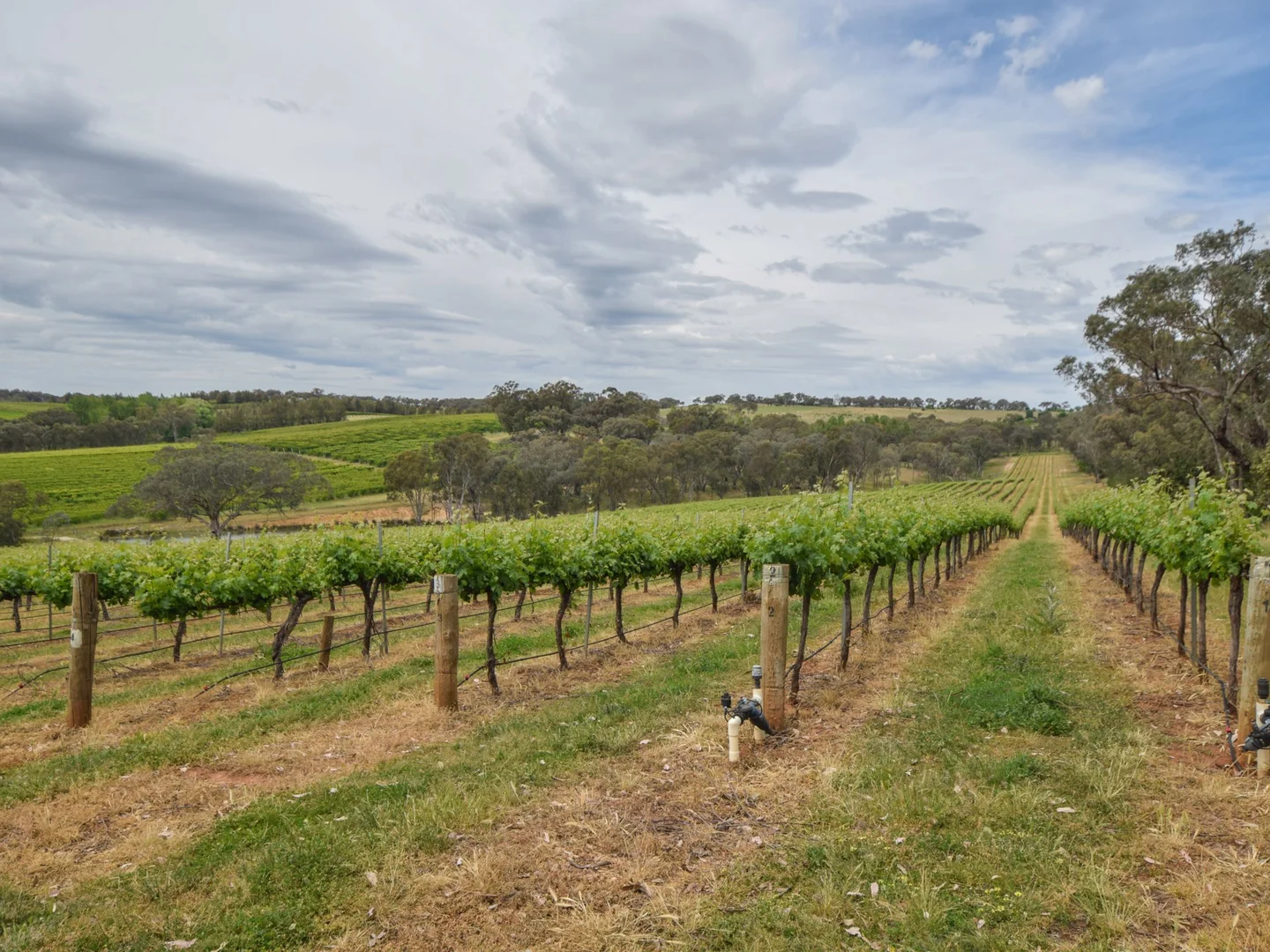 Additional image 12 of 155 Tierneys Road, Young NSW 2594