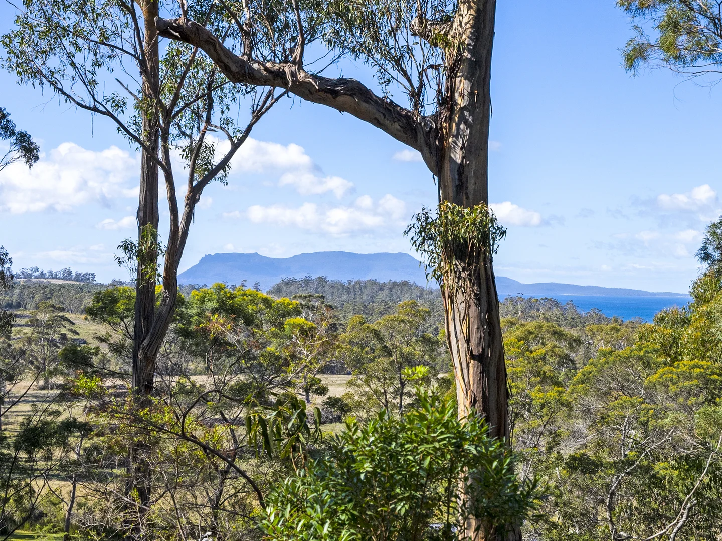 Additional image 5 of 196 Alma Road, Orford TAS 7190