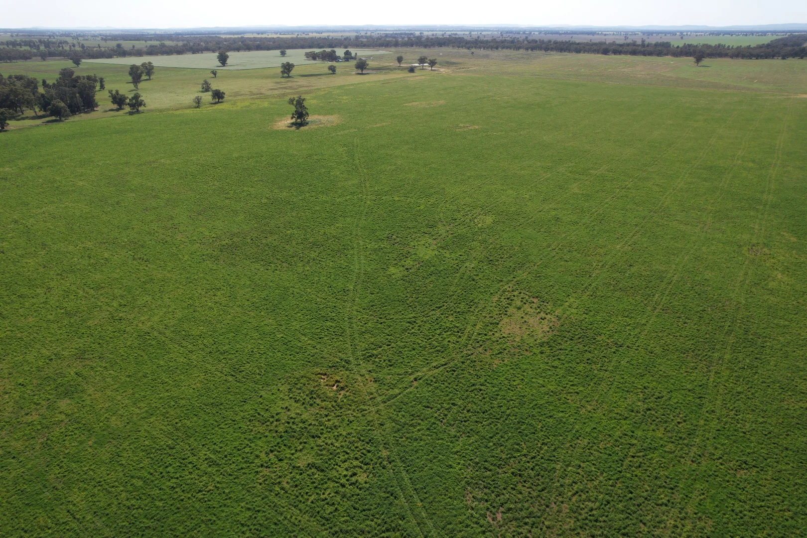 Additional image 10 of 1715 The Bogan Way, Forbes NSW 2871