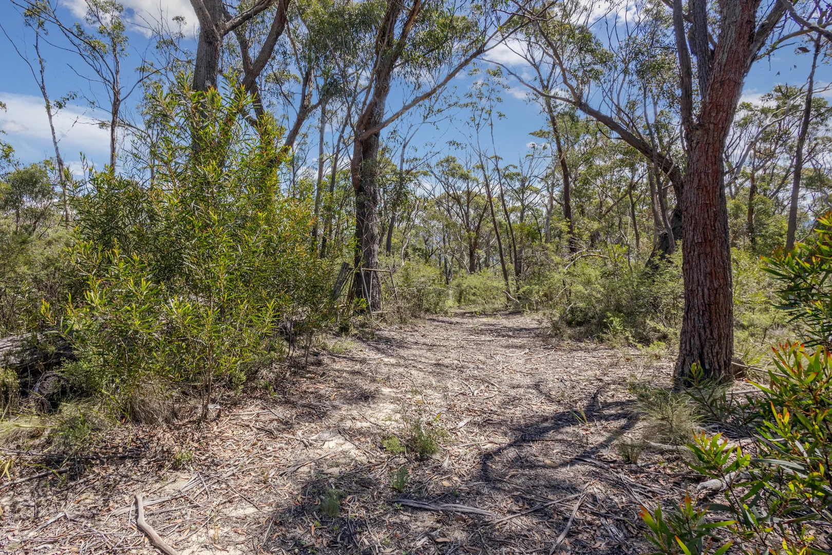 Additional image 7 of 102 Mount York Road, Mount Victoria NSW 2786