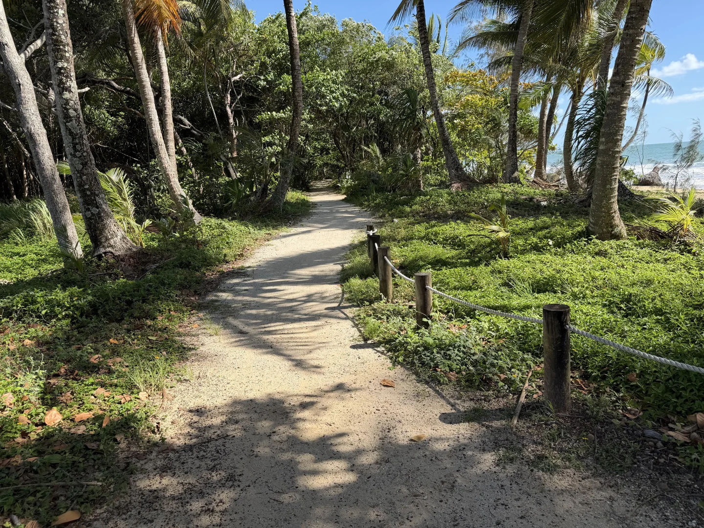 Additional image 22 of 16 Royal Palm Dr, Mission Beach QLD 4852