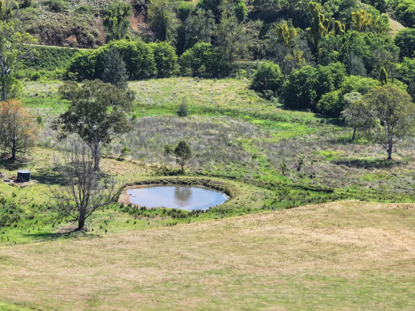 Additional image 16 of 1050 Afterlee Rd, Eden Creek NSW 2474