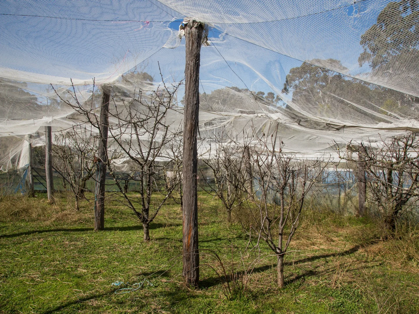 Additional image 12 of 170 Wattle Flats Road, Canyonleigh NSW 2577