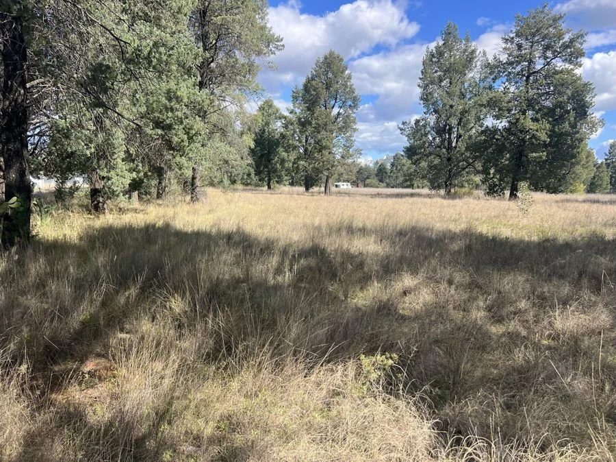 Additional image 4 of Part 127 Creek Road, Baradine NSW 2396