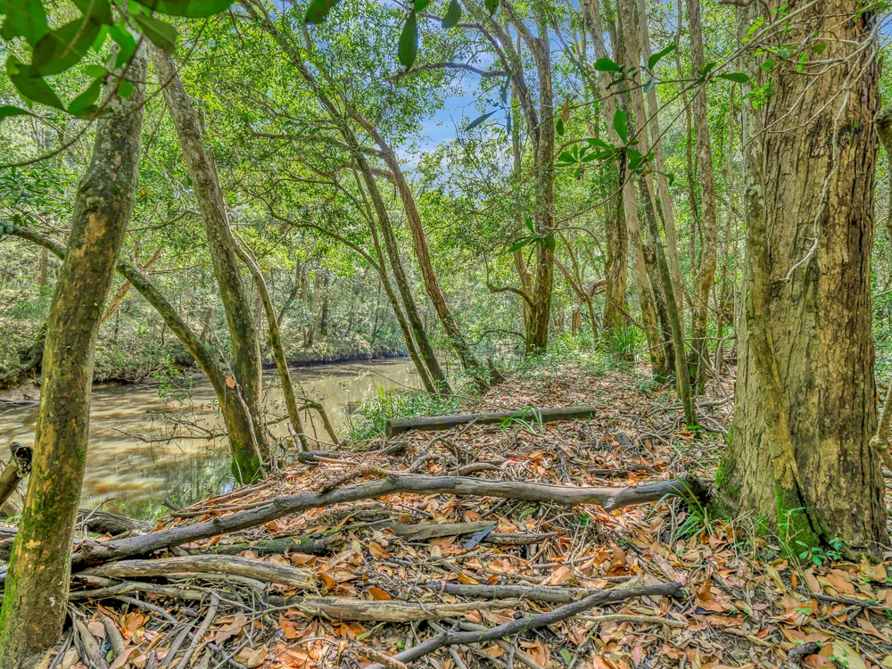 Additional image 10 of 136 Browns Road, Halfway Creek NSW 2460