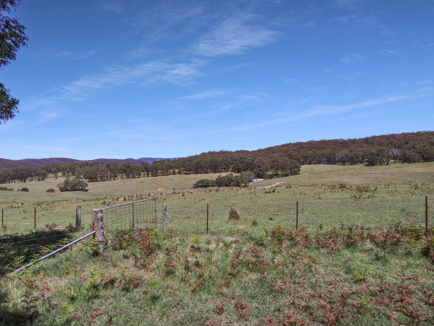 Additional image 23 of 12 Bluebell Road, Braidwood NSW 2622