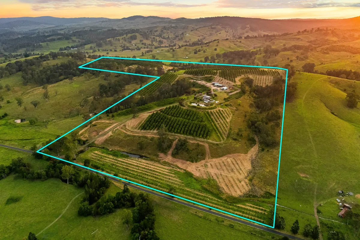 Additional image 25 of 323 Bingeebeebra Road, Bingeebeebra Creek NSW 2469