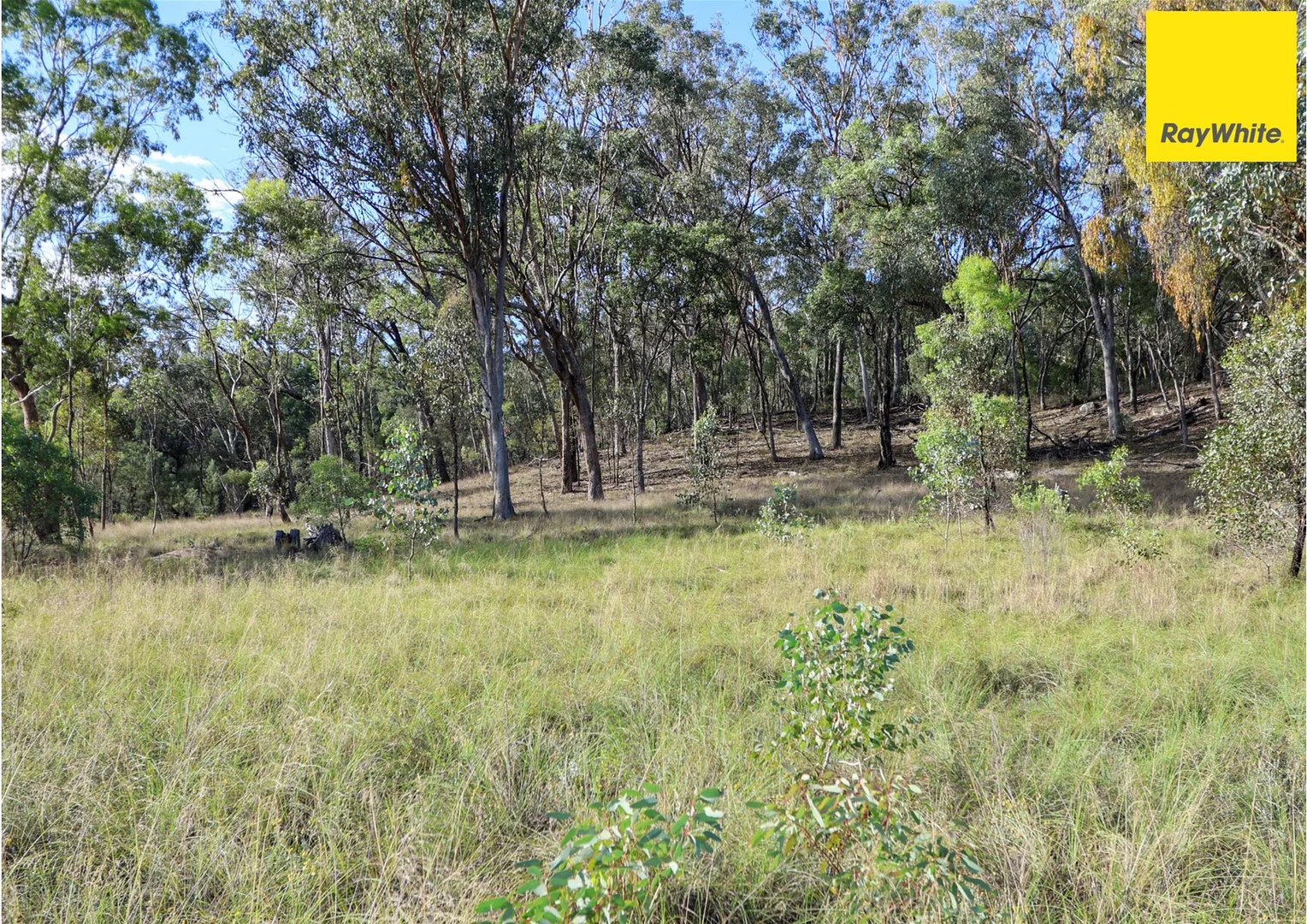 Additional image 7 of 510 Mclachlans Lane, Inverell NSW 2360