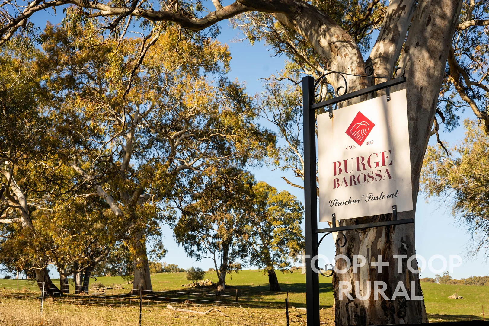 Additional image 14 of 232 Brownes Road, Pewsey Vale SA 5351