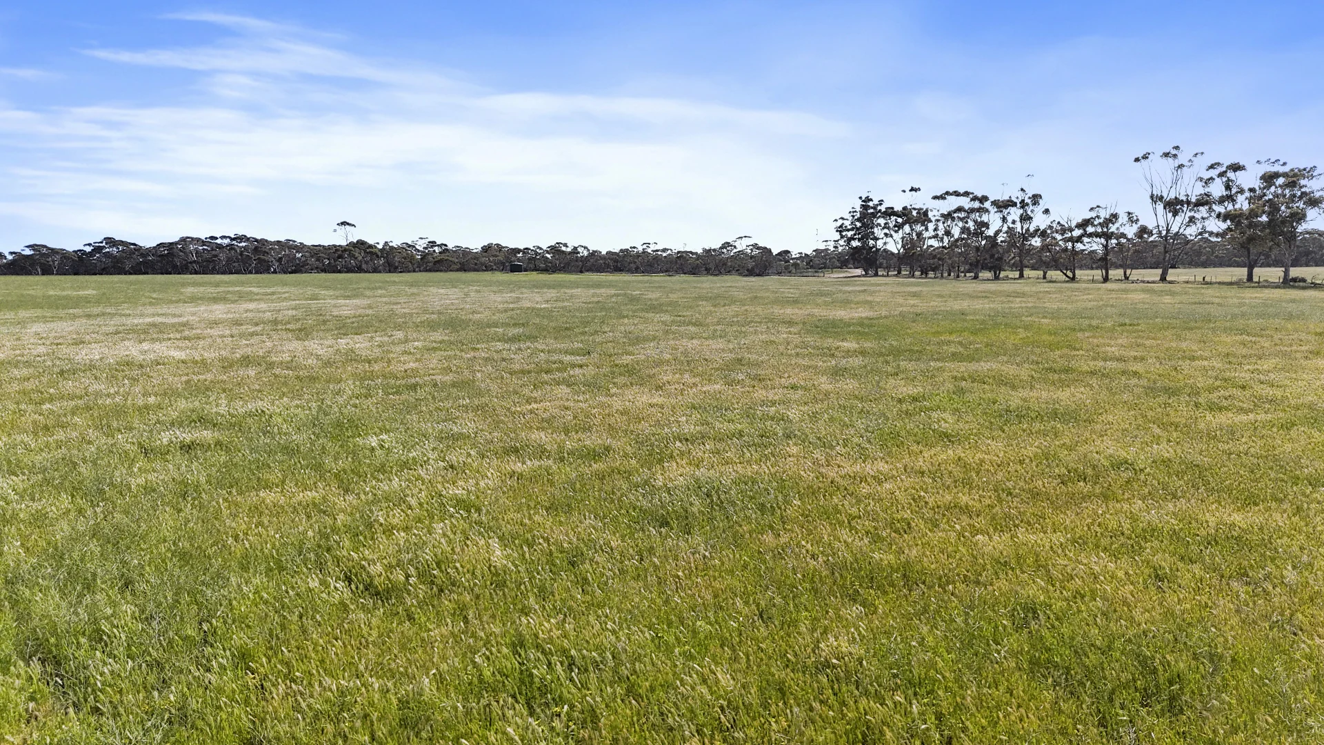 Additional image 18 of 4910 Mallee Highway, Peake SA 5301