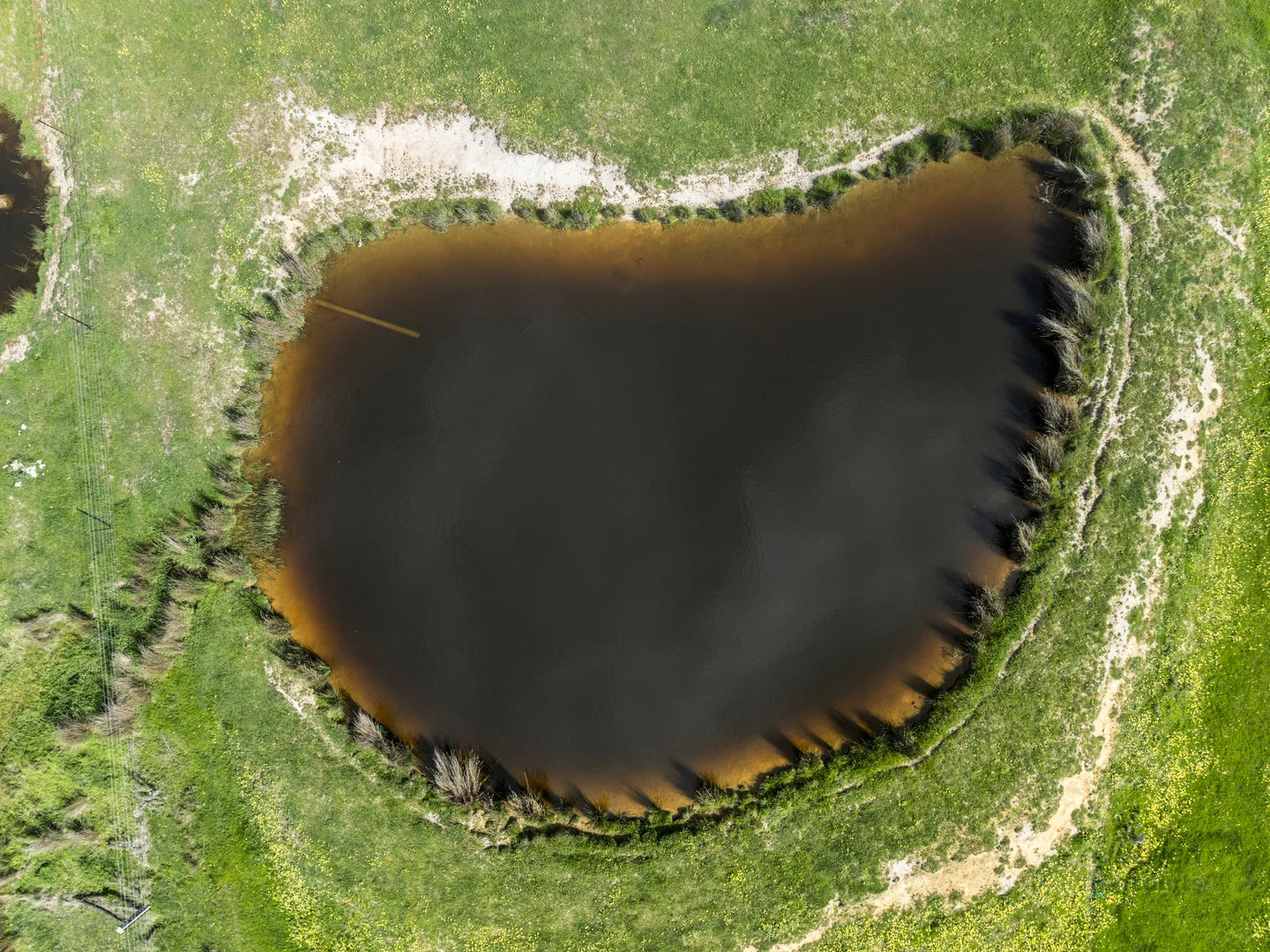 Additional image 20 of 99 Tames Road, Strathbogie VIC 3666