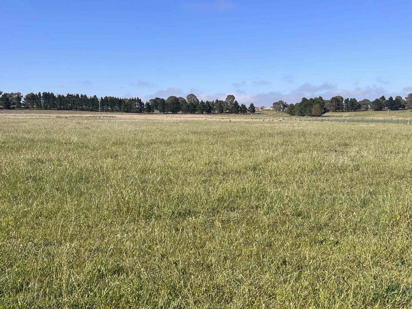 Additional image 4 of 48 Mcleods Creek Drive, Gundaroo NSW 2620