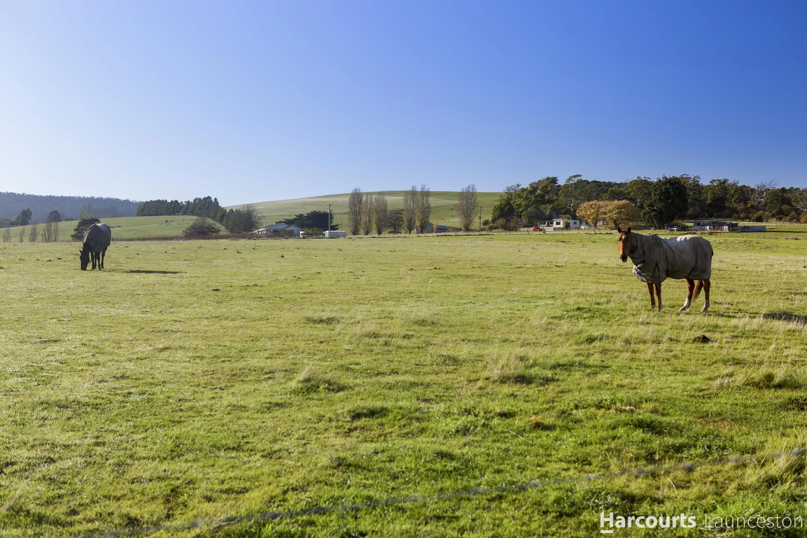 Additional image 4 of Stage 4 Cedar Grove Estate, St Leonards TAS 7250