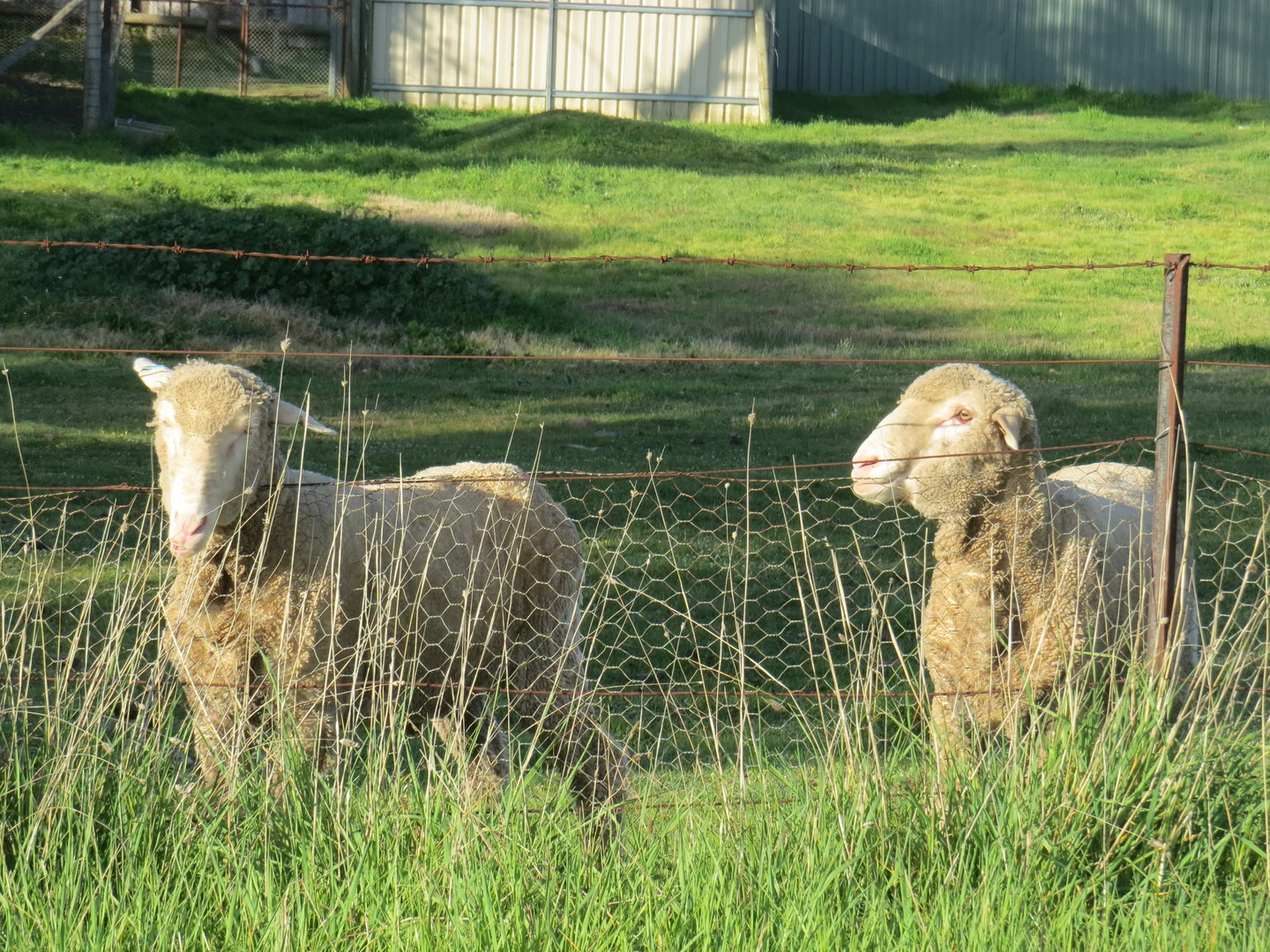 Additional image 17 of 7 Ebden Street, Heathcote VIC 3523