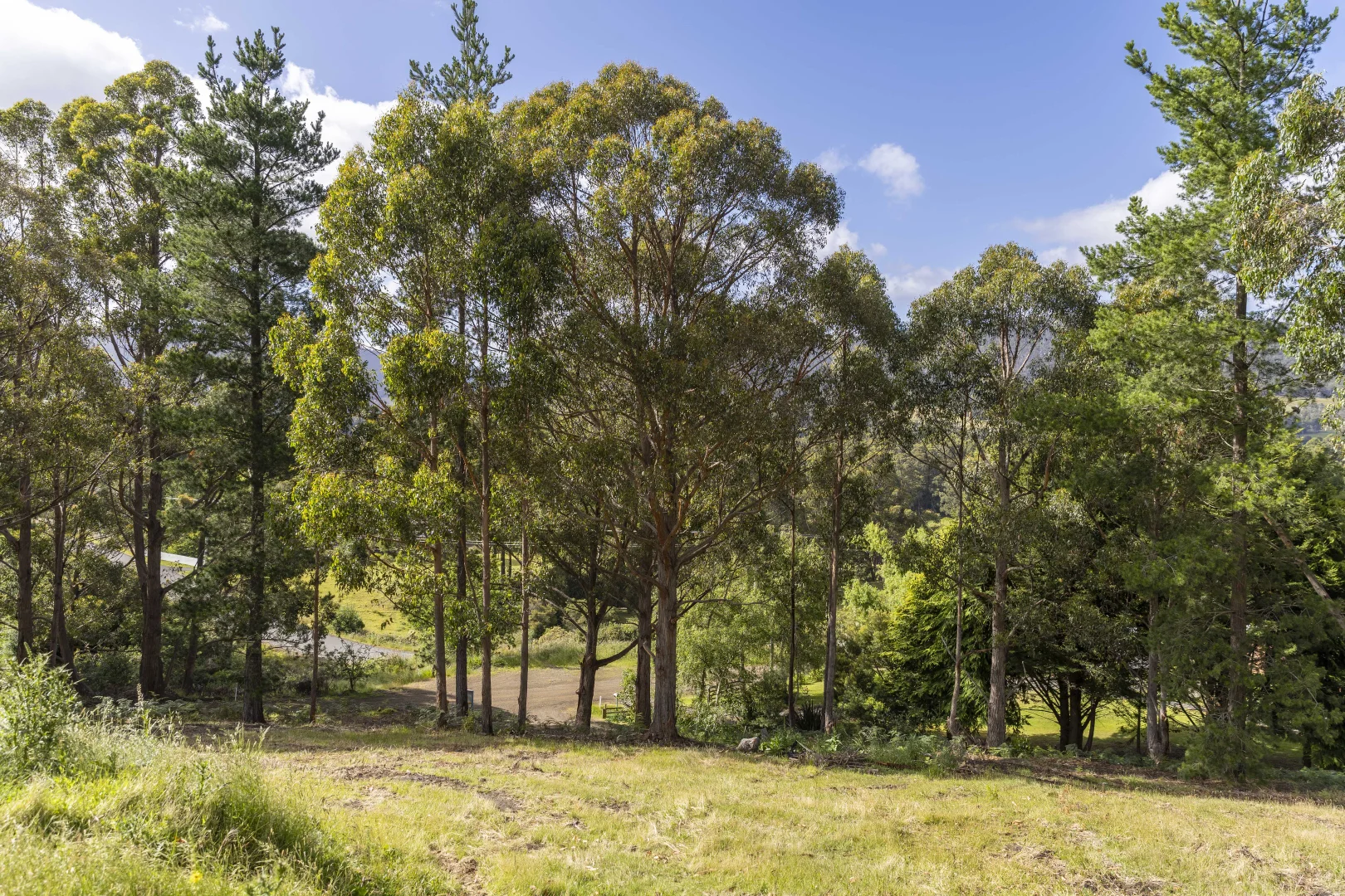 Additional image 10 of Lot 1 Daytons Drive, Ranelagh TAS 7109