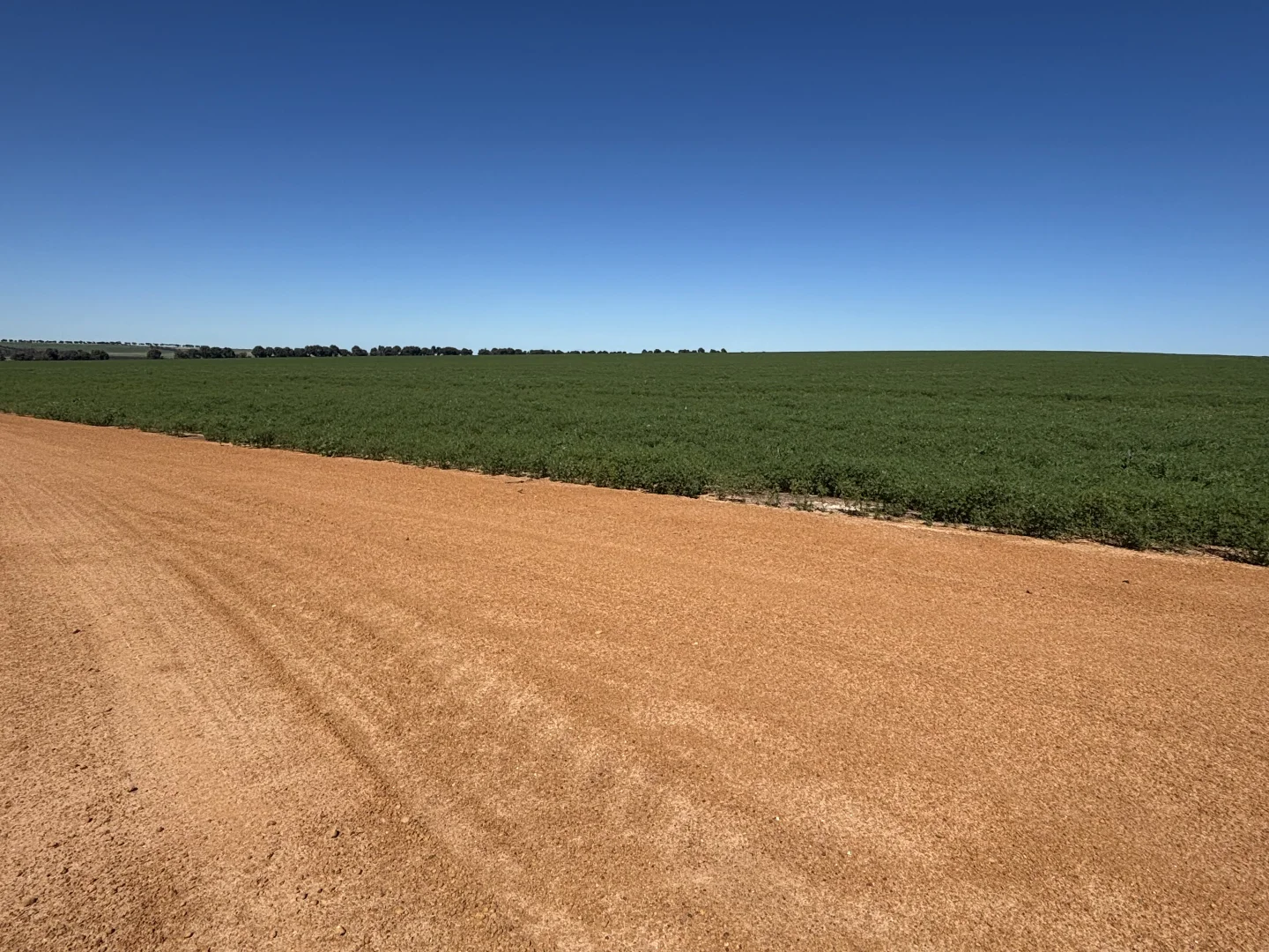 Additional image 2 of Lot 55 Ahern Place, Hickety WA 6532