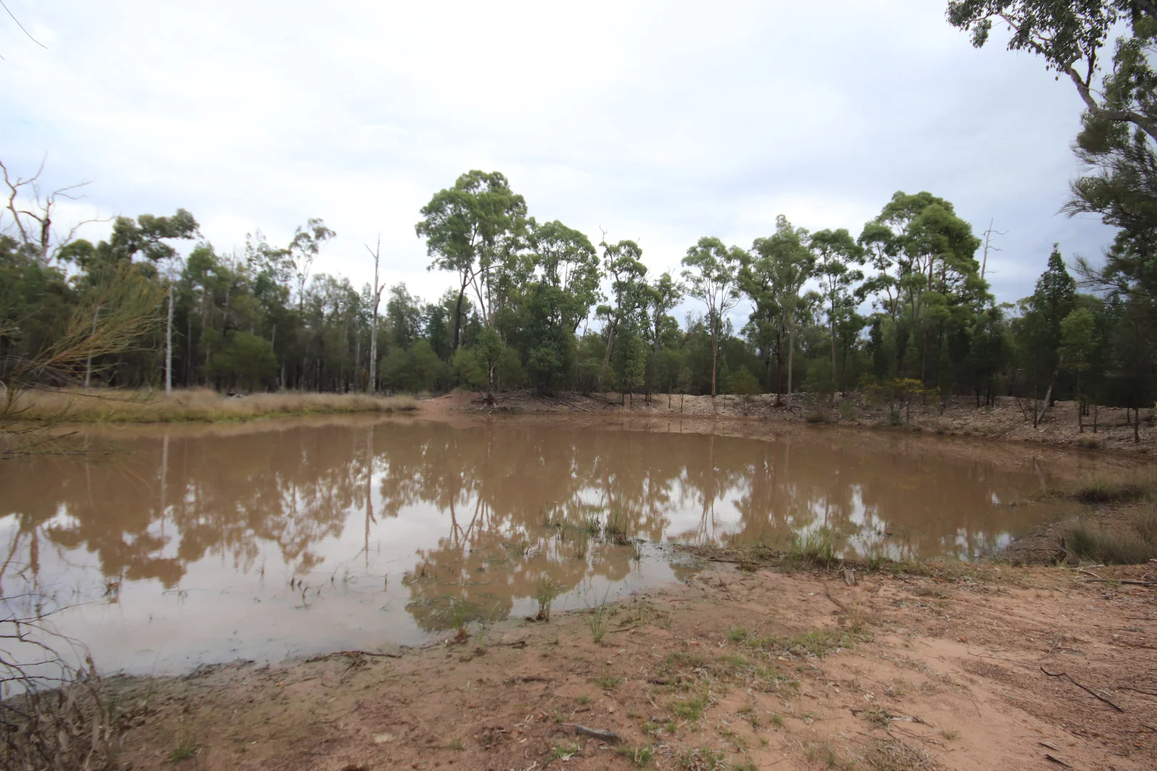 Additional image 15 of Lots 1 & N Yagaburne-Boondandilla Road, Boondandilla QLD 4406