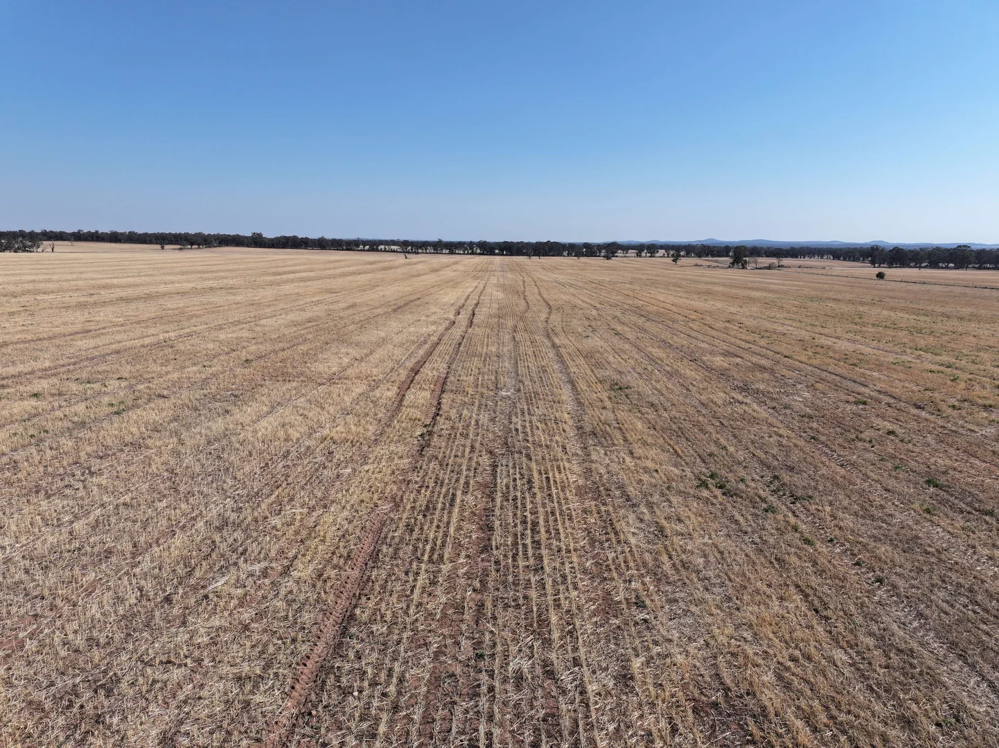 Additional image 6 of 'Wattlevale' 875 Schmidts Lane, Gidginbung NSW 2666