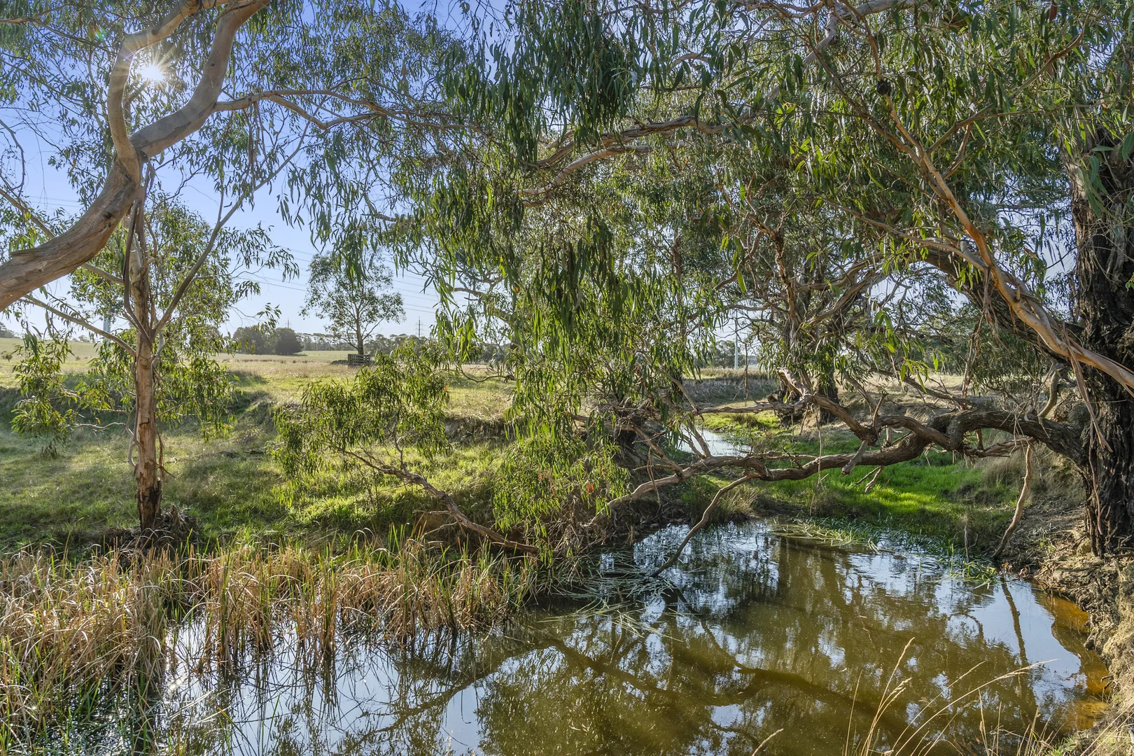 Additional image 18 of 153 Angees Road, Elaine VIC 3334