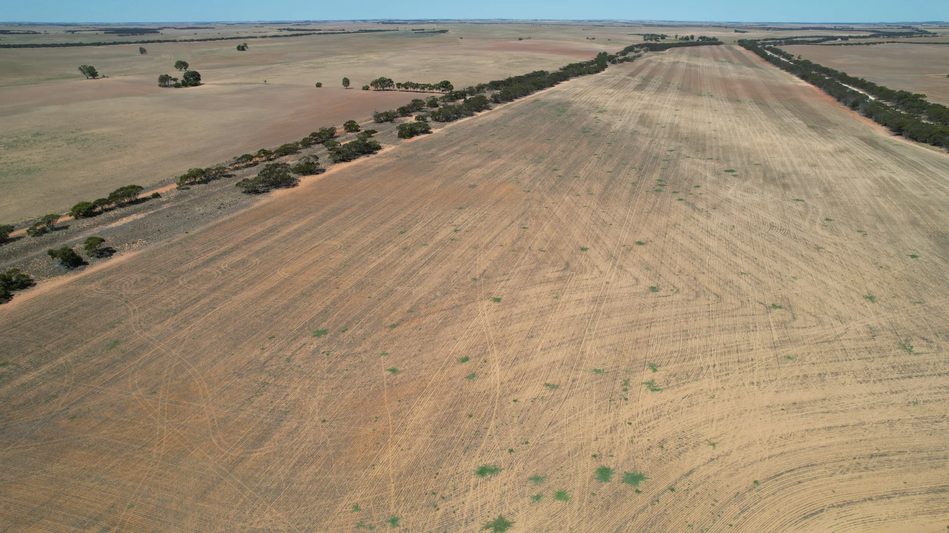 Additional image 13 of Lot 1 Stones Track & Lot 17 Kulkami Road, Karoonda SA 5307