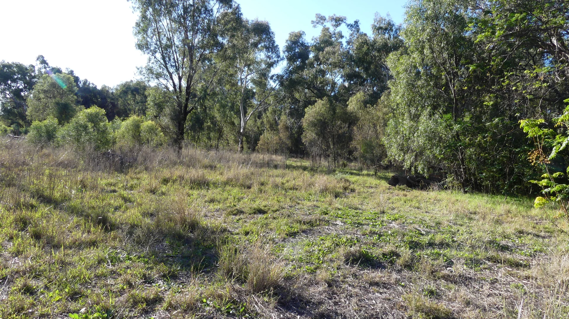 Additional image 3 of Lot 10 Oxley Highway, Warren NSW 2824