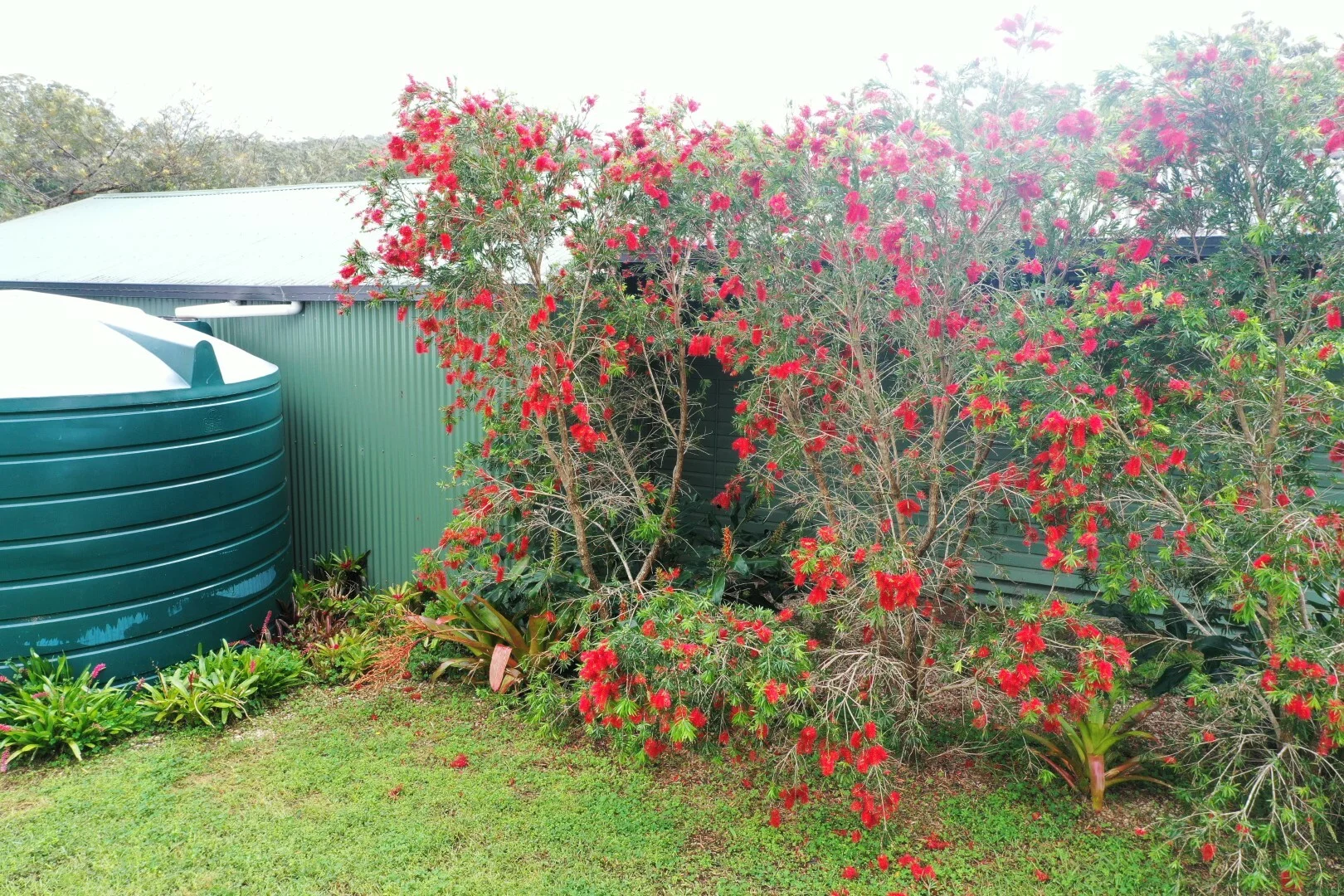 Additional image 30 of 66 Old Tweed Road, Wadeville NSW 2474