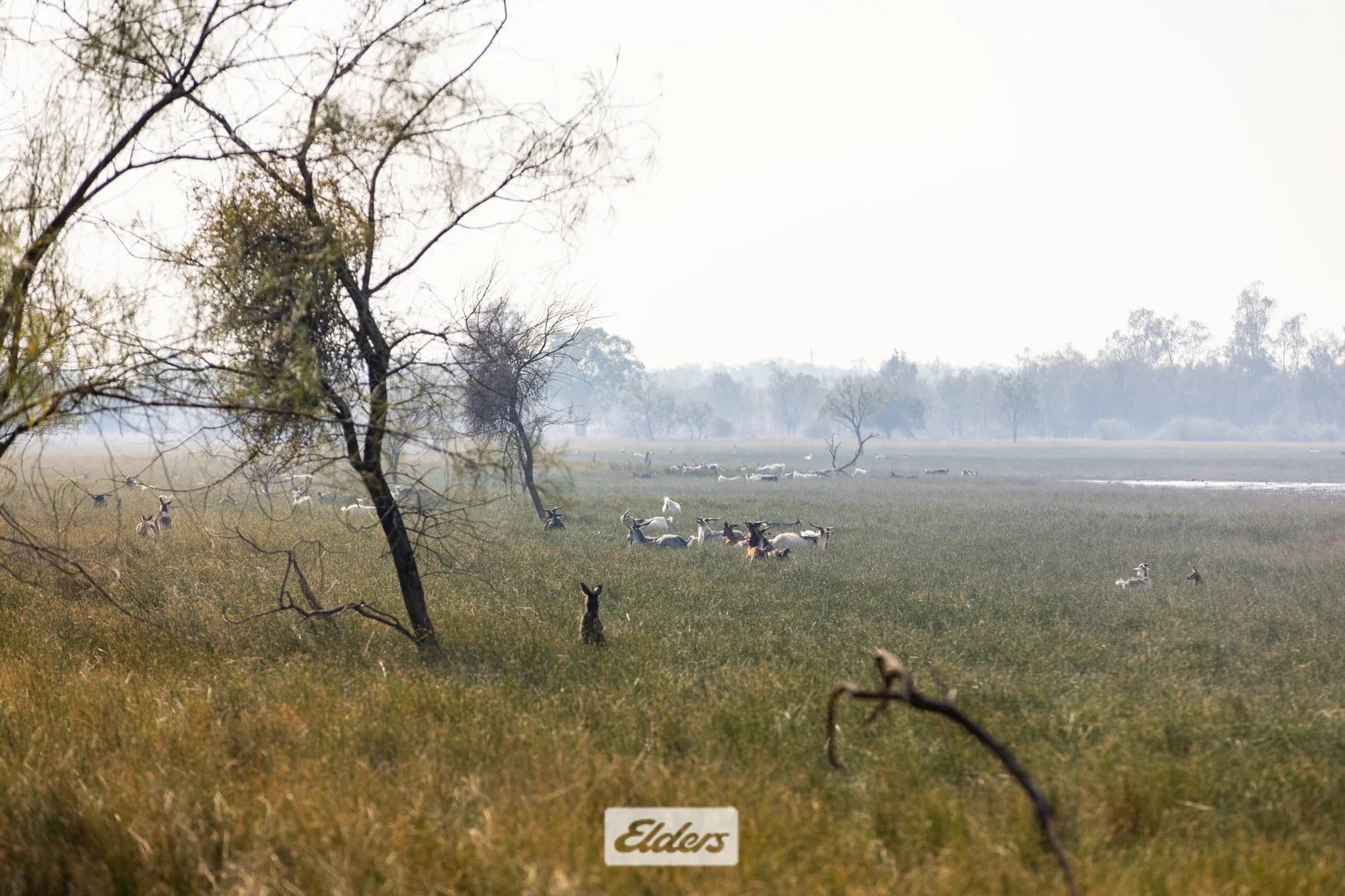 Additional image 25 of 340 West Wilcannia Road, Menindee NSW 2879