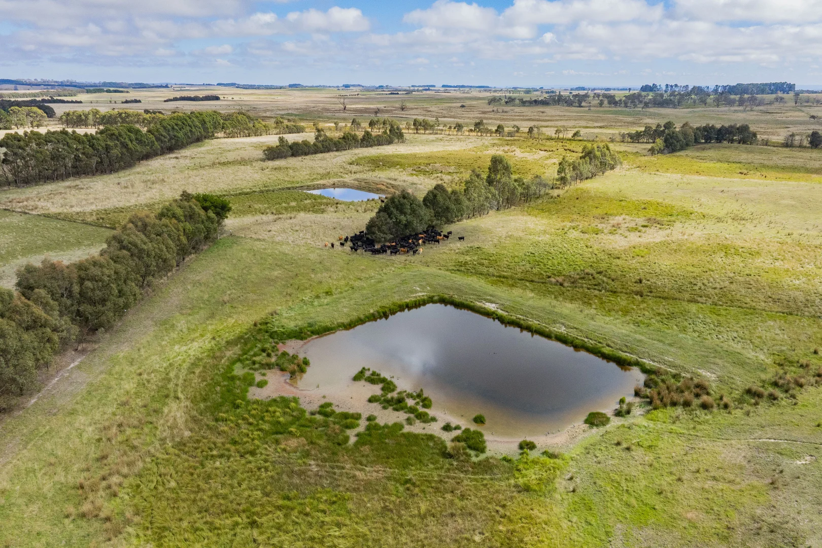 Additional image 35 of 251 Mount Rae Road, Roslyn NSW 2580