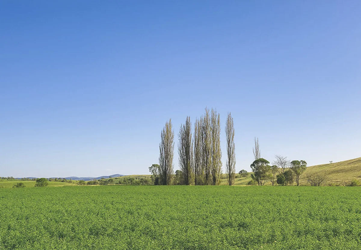 Additional image 5 of 169 Cochranes Road, Wolumla NSW 2550