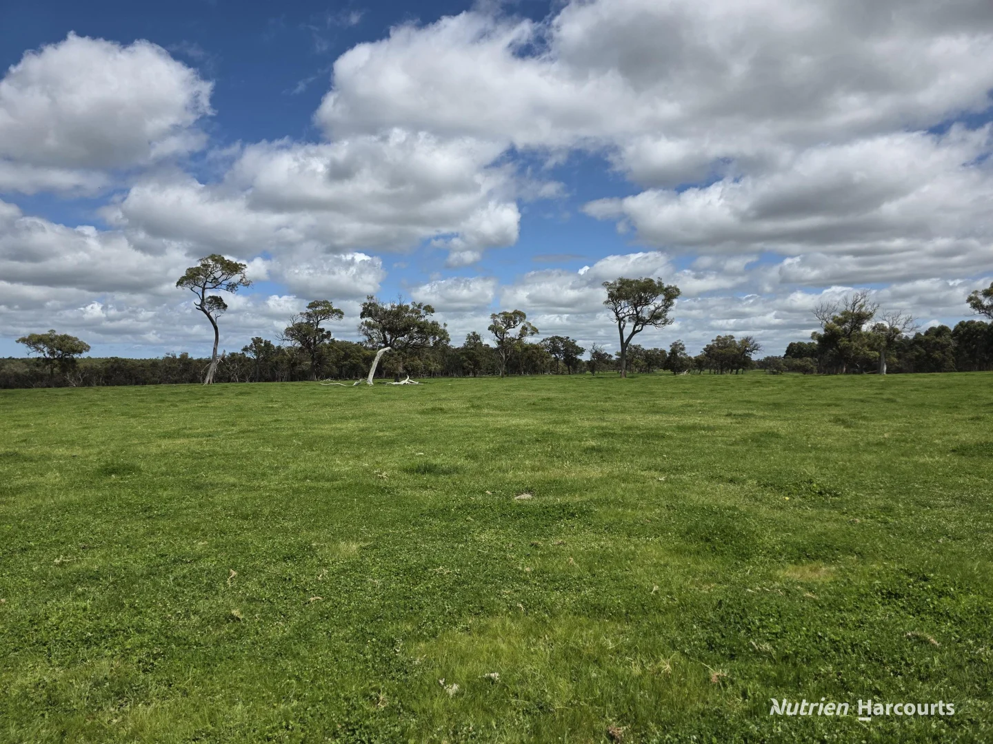 Additional image 23 of 1867 Chester Pass Road, Napier WA 6330