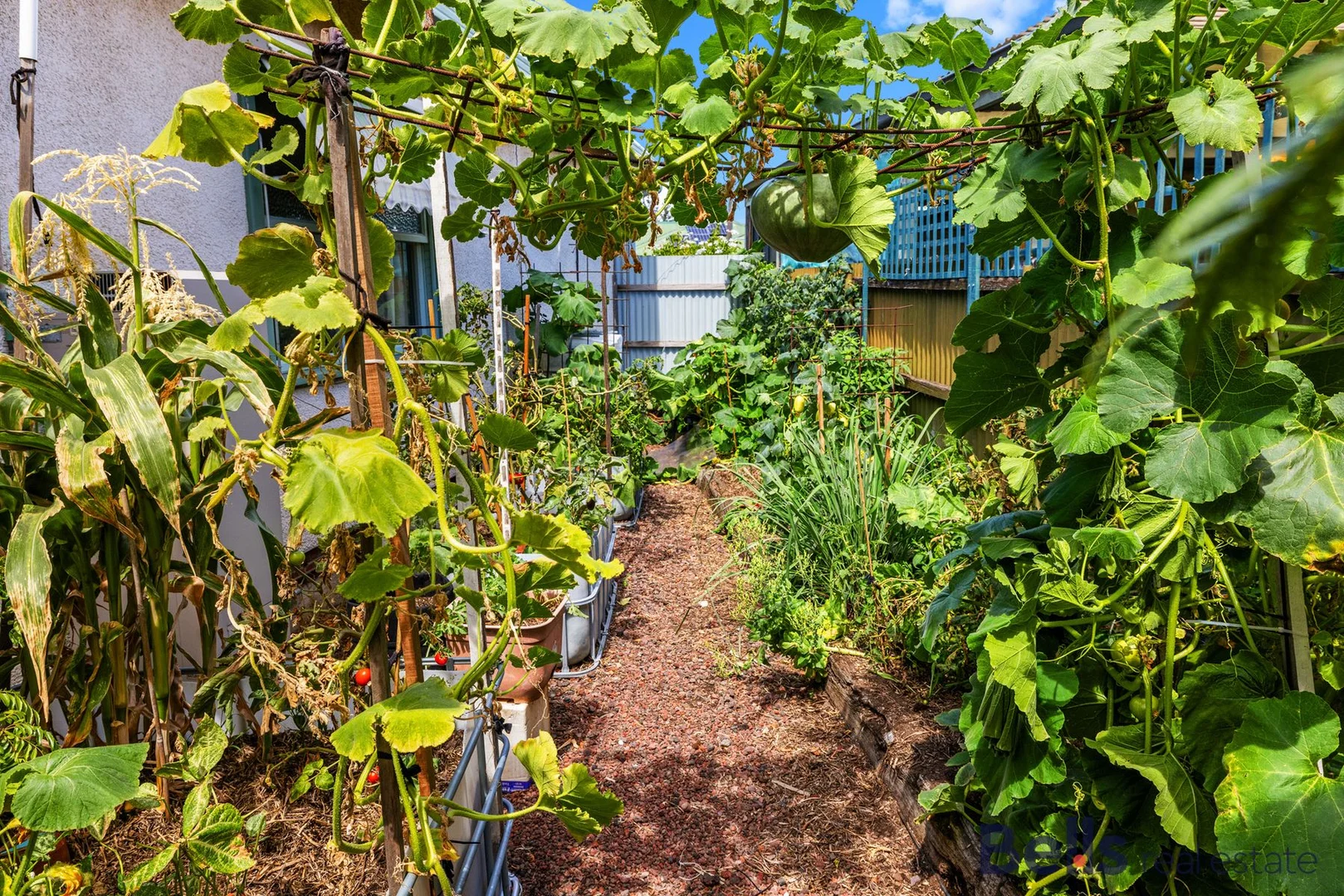 Additional image 13 of 8 Wyalong Street, Albion VIC 3020