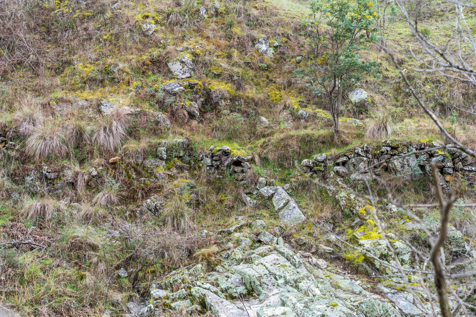 Additional image 3 of 1564 Lower Lewis Pond Road, Orange NSW 2800