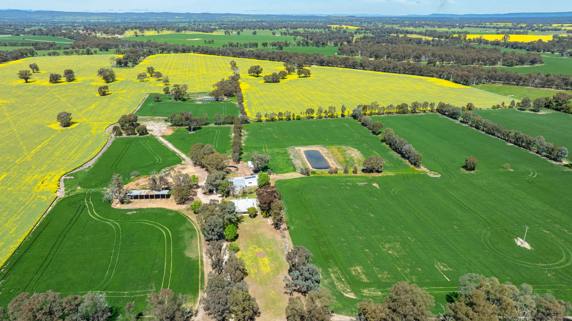 Additional image 9 of 106 Cornishtown Road, Rutherglen VIC 3685