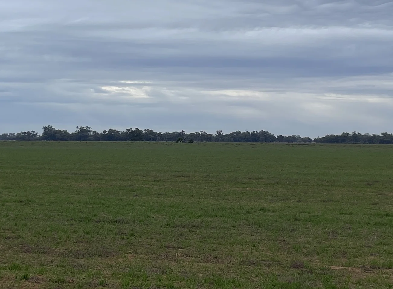 Additional image 3 of 'East Gathan' 509 Gathan Road, Deniliquin NSW 2710