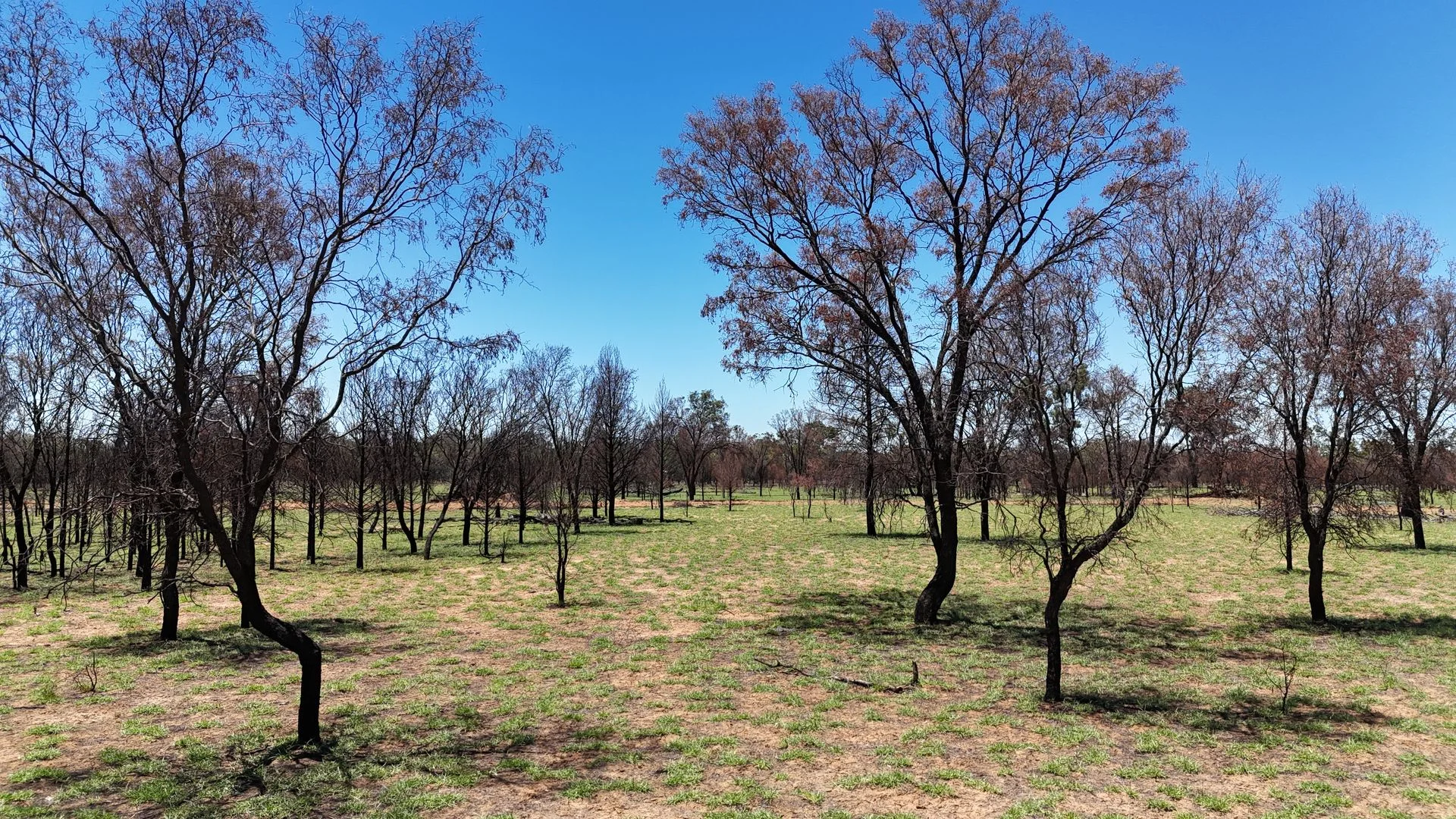 Additional image 17 of 202-410 Wallal Street, Bakers Bend QLD 4470