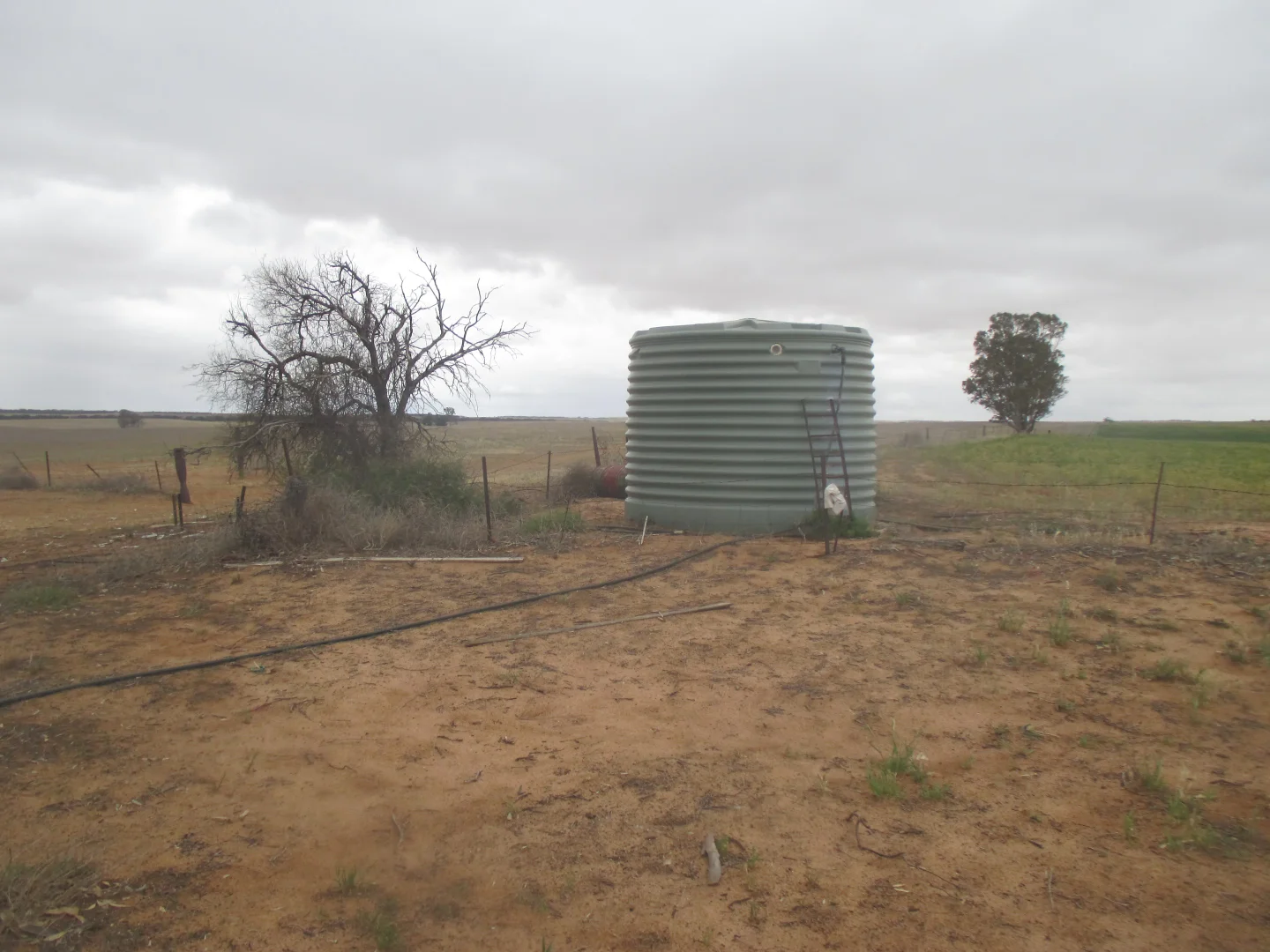 Additional image 16 of Lot 1 Stones Track & Lot 17 Kulkami Road, Karoonda SA 5307