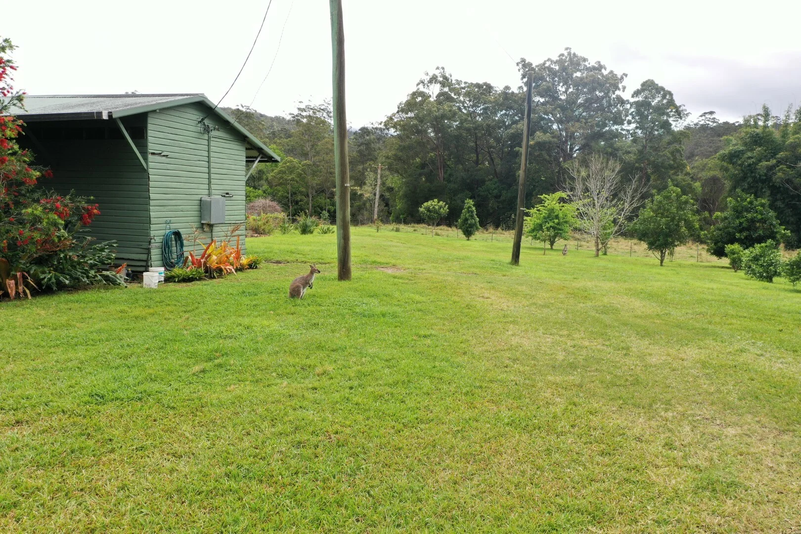 Additional image 32 of 66 Old Tweed Road, Wadeville NSW 2474