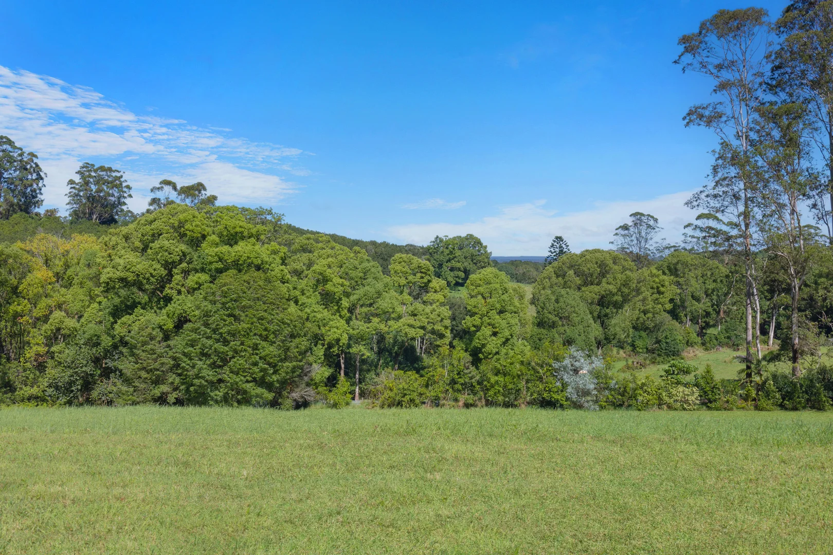 Additional image 15 of 321 Fernleigh Road, Fernleigh NSW 2479