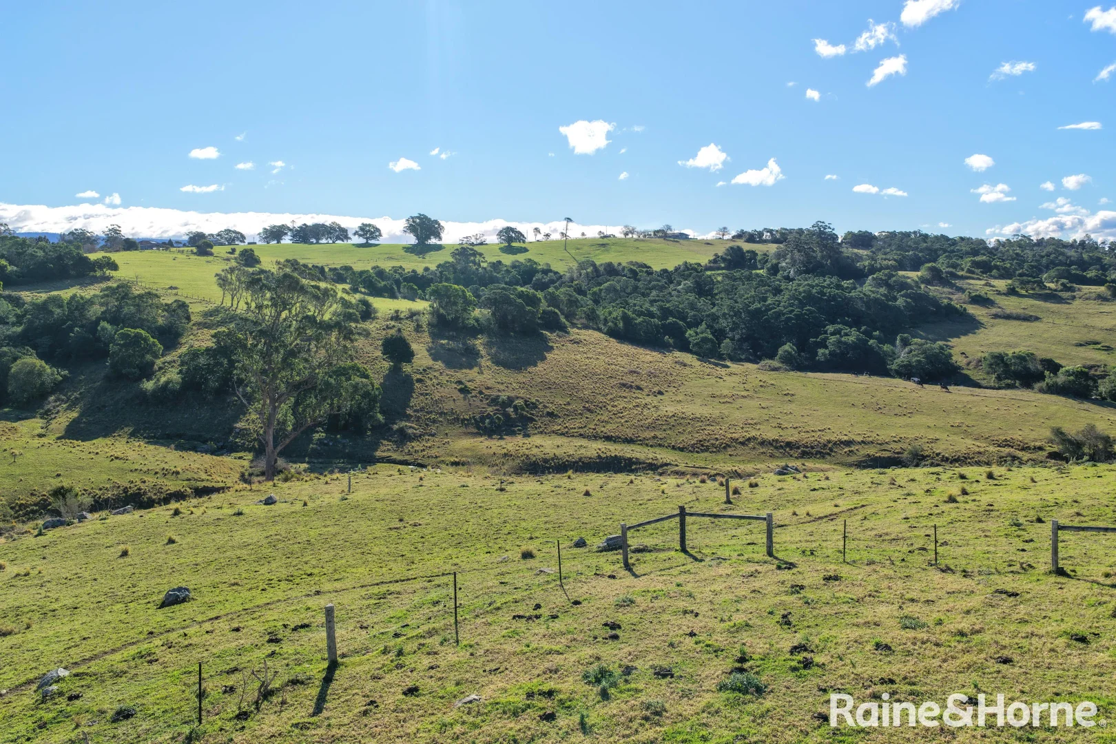 Additional image 6 of Lot 31, 7 Gordon Street, Milton NSW 2538