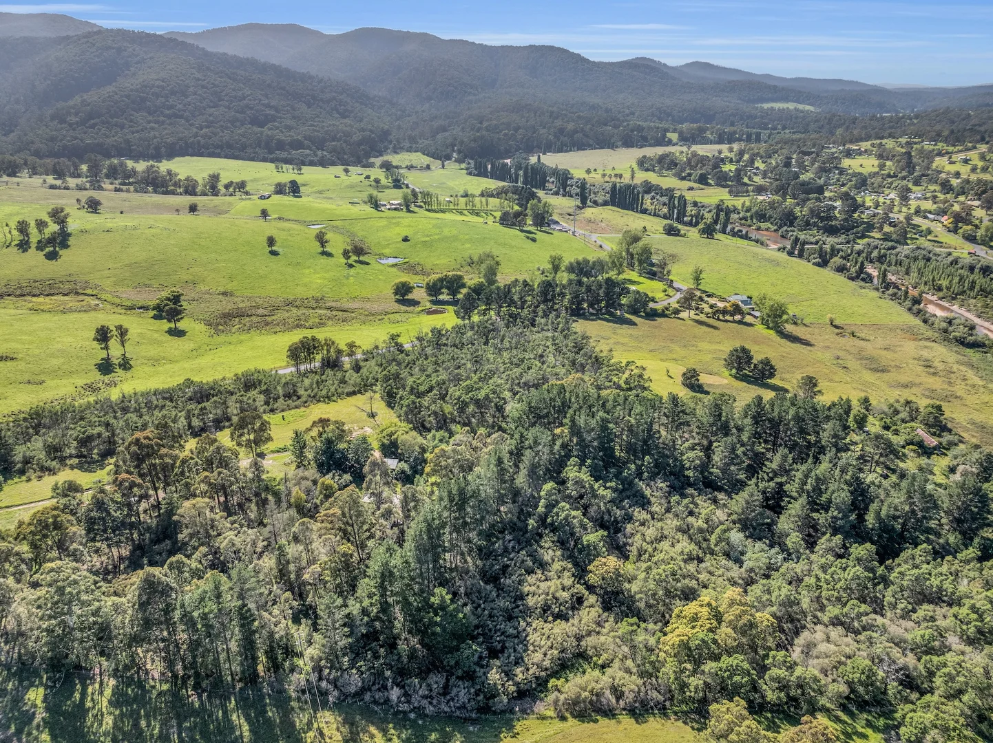 Additional image 19 of 2577 Towamba Road, Towamba NSW 2550