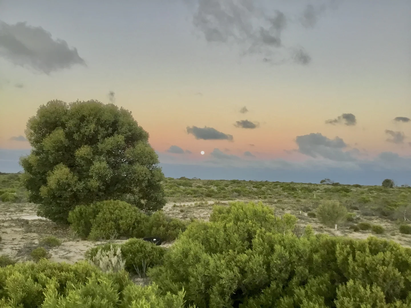 Additional image 16 of 2285 Coorabie Road, Fowlers Bay SA 5690