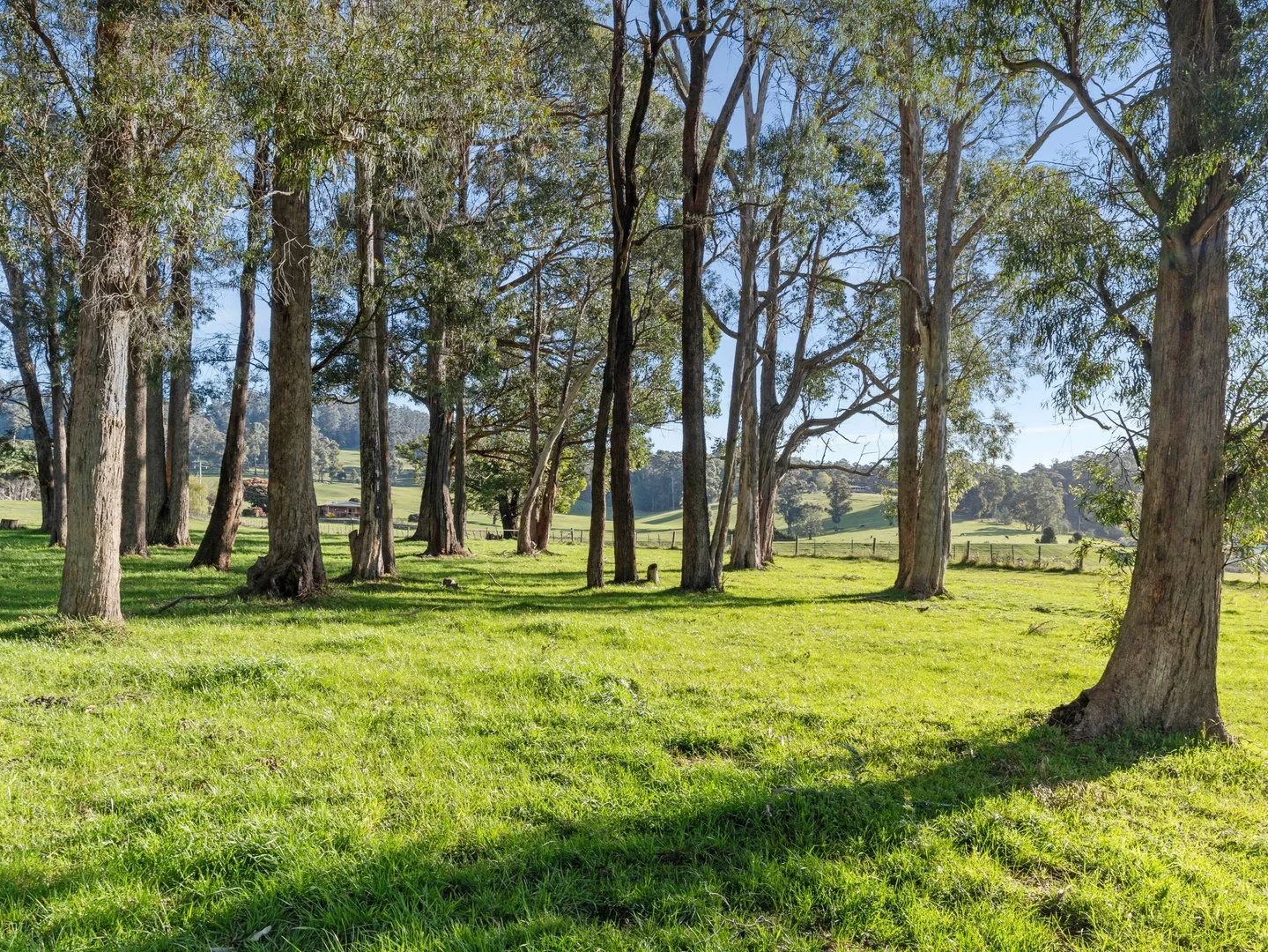 Additional image 8 of Lot 0 Goss Road, Railton TAS 7305