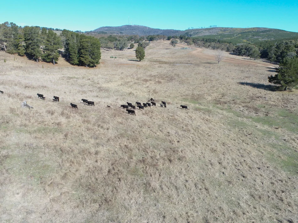 Additional image 11 of 1173 Cargo Road, Lidster NSW 2800