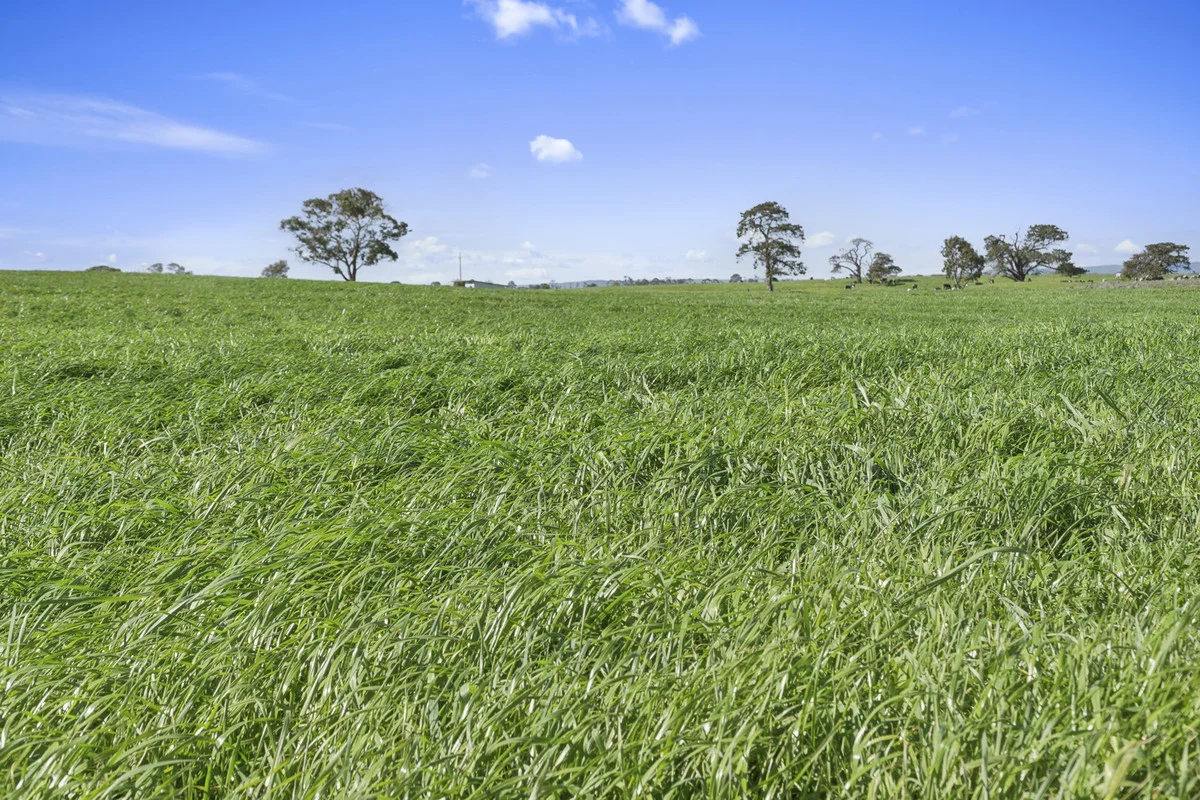 Additional image 14 of 280 Ondit-Warrion Road, Ondit VIC 3249