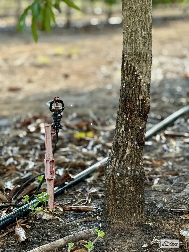 Additional image 5 of 80 & 100 Russ Road, Tumbling Waters NT 0822