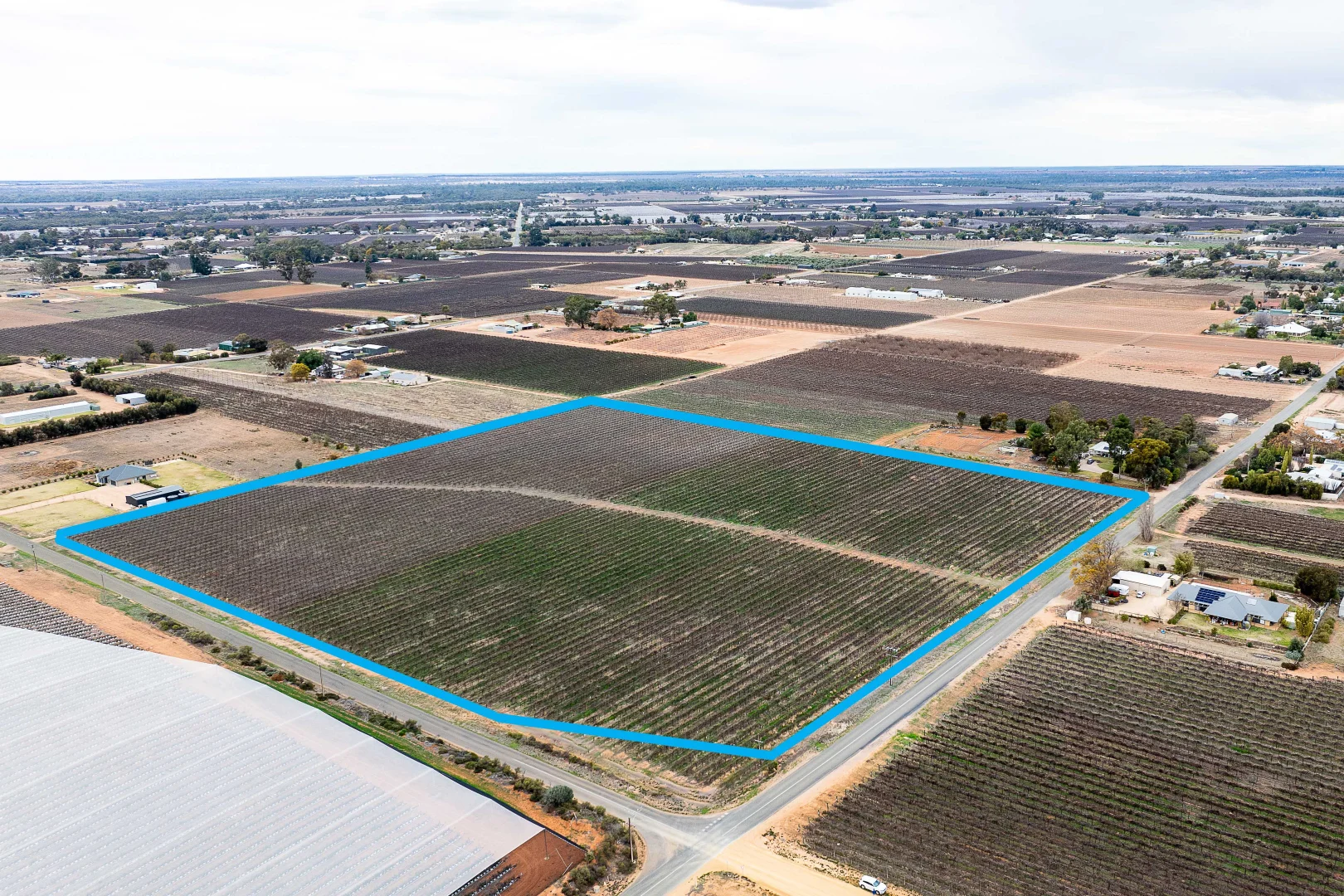 Additional image 4 of Lot 453 Chowilla Street, Renmark SA 5341