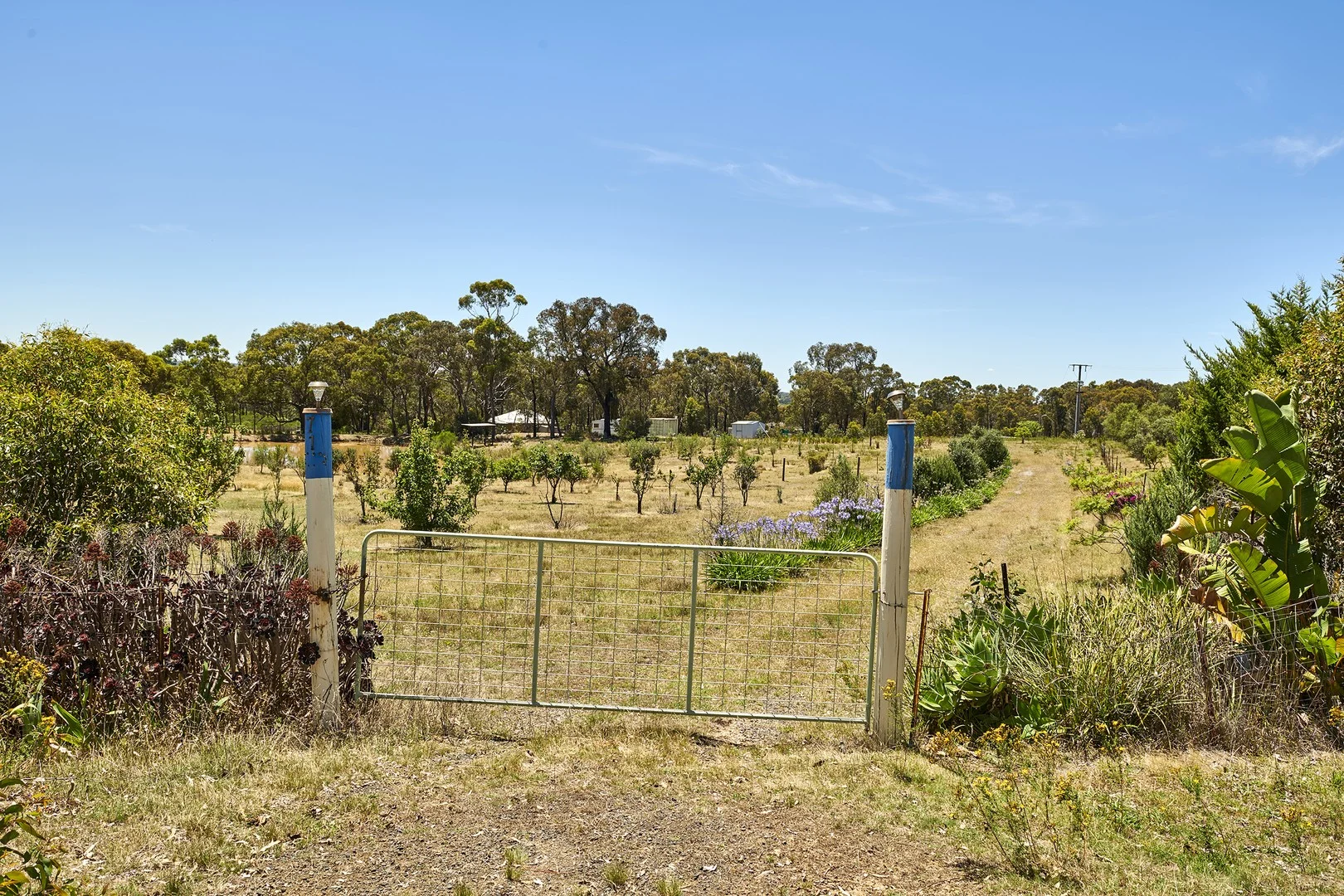 Additional image 11 of 71 Brennan Road, Heathcote VIC 3523