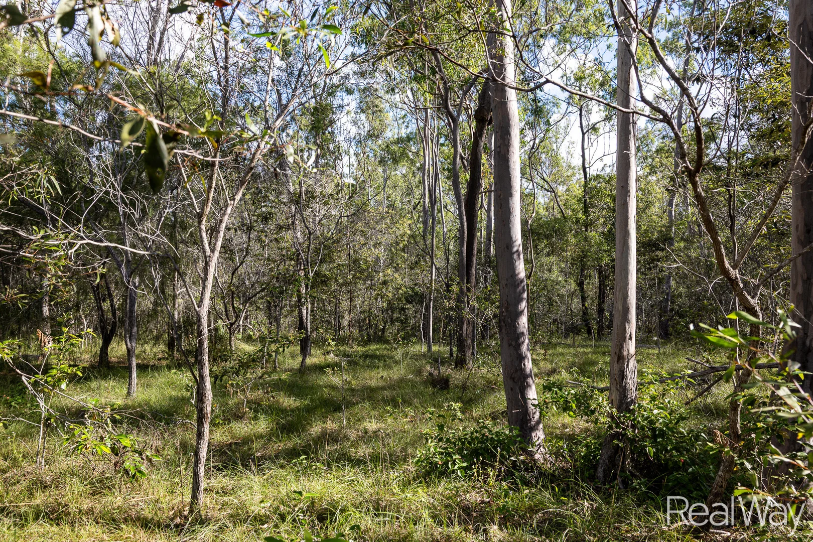 Additional image 2 of 2 Jacksons Road, South Isis QLD 4660
